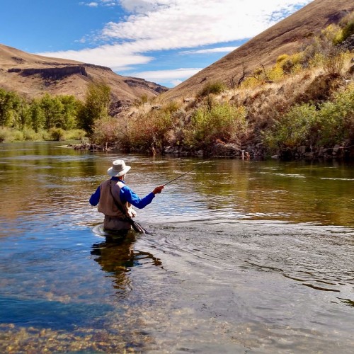 1 Fishing Circle bailey zindel unsplash