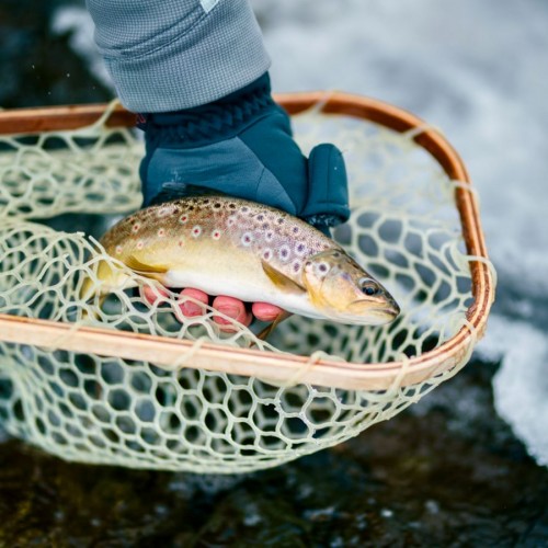 1 Fishing Circle bailey zindel unsplash