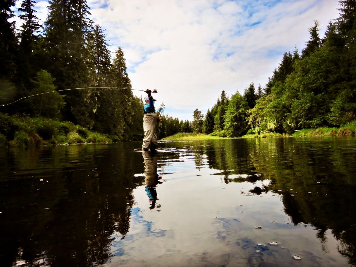 Here's a trout fly fisher out fully loading up his back cast for a long range fly presentation