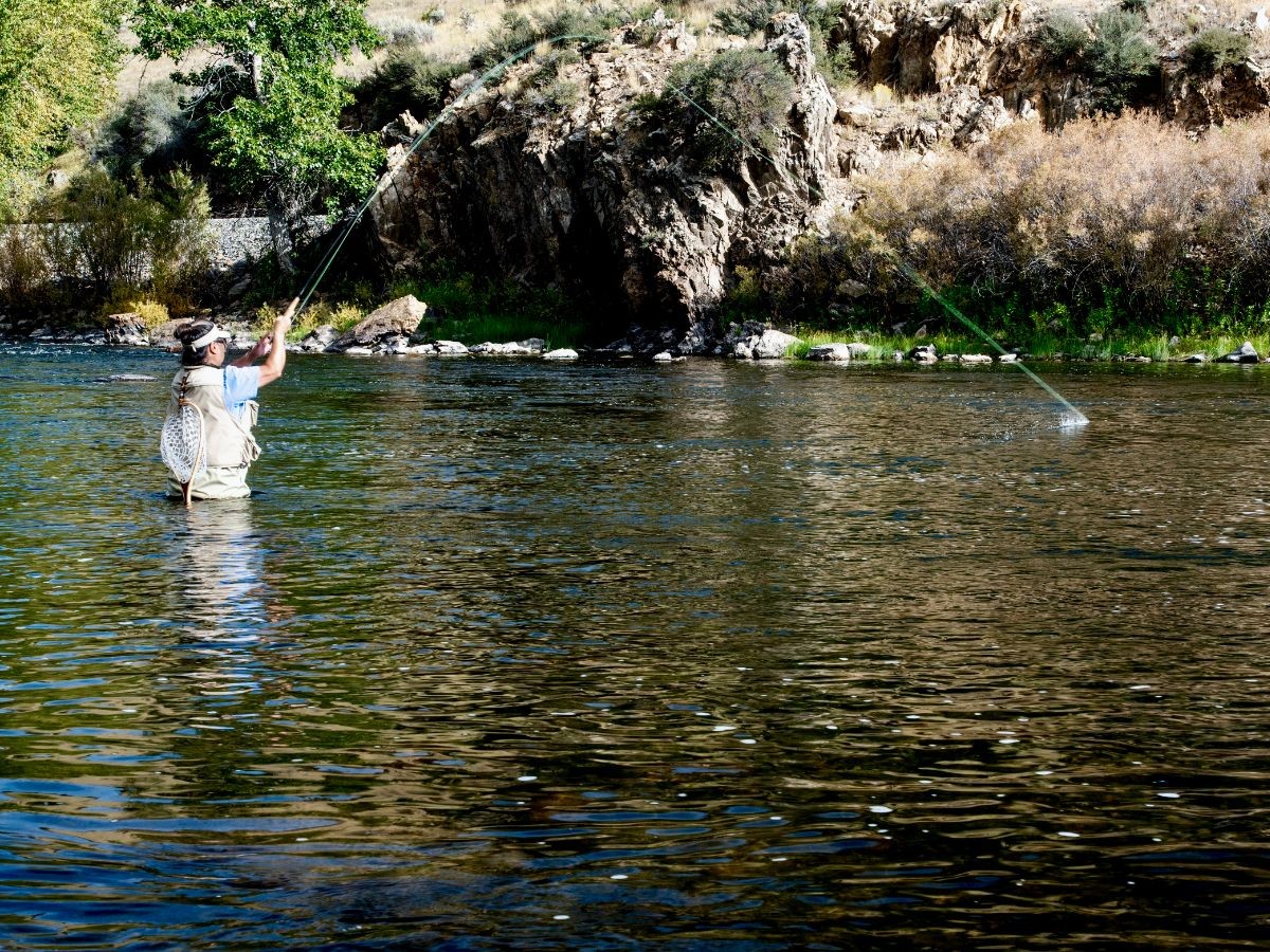 Here's a river trout fisher hooking into a fine wild trout on the dry fly.