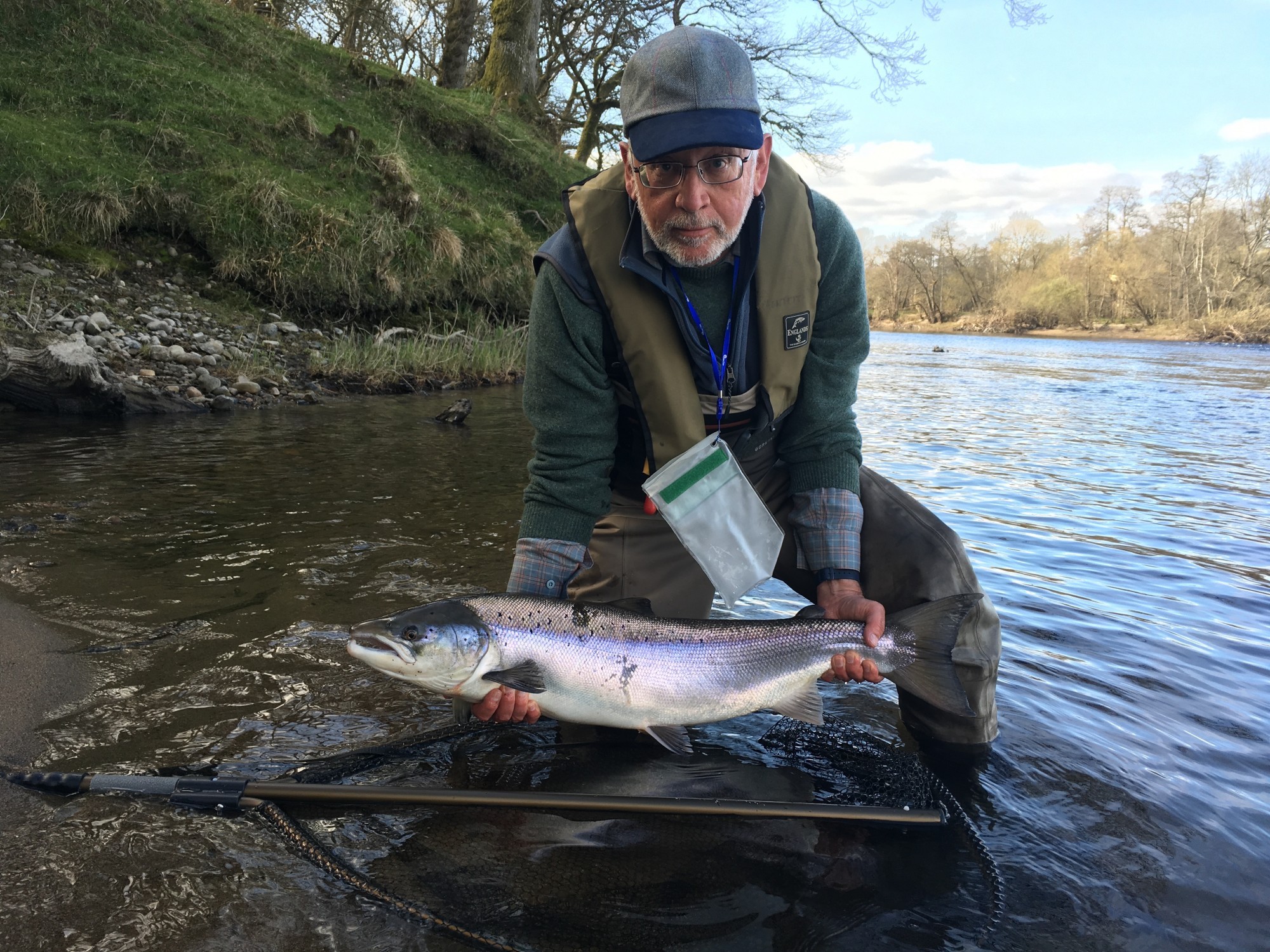 When you hook and land a salmon in Scotland get straight back into the salmon salmon lie as there's always a chance of a quick double when running fish have briefly stopped. This perfect salmon was the 2nd fish this fly fisher caught in 20 minutes of doing exactly what I've just stated on the River Tay near Pitlochry.