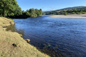 The area of the River Tay around the Tummel/Tay confluence has always been a great salmon fishing area to target as many salmon hold up here each year. This is the Meetings Pool where the River Tummel enters the Tay which is one such middle Tay salmon fishing hot spot near Dunkeld.